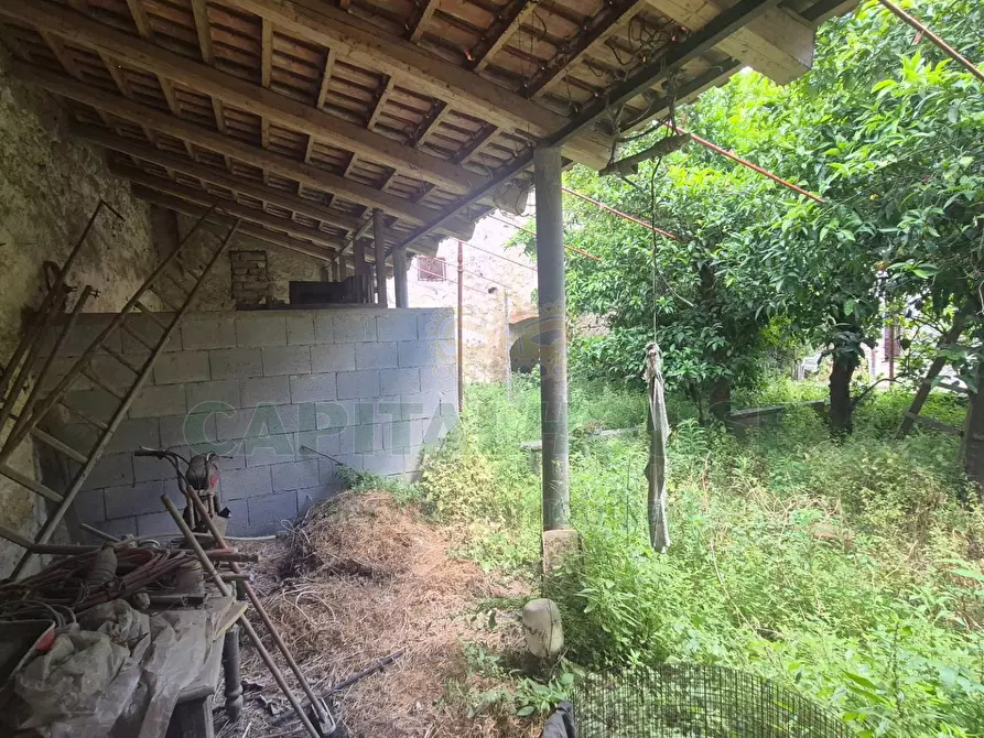Immagine 5 di Casa indipendente in vendita  a Camigliano