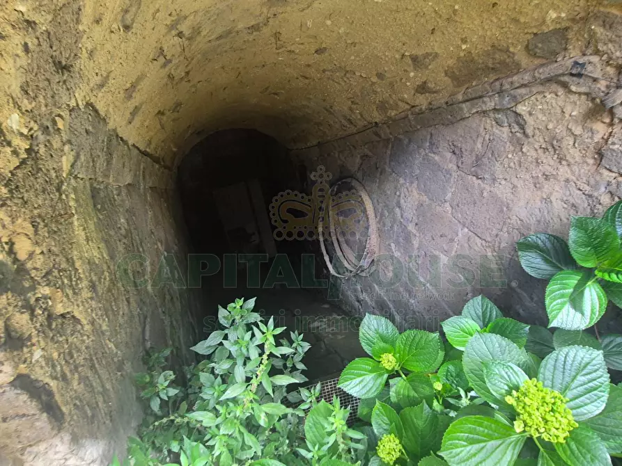 Immagine 8 di Casa indipendente in vendita  a Camigliano