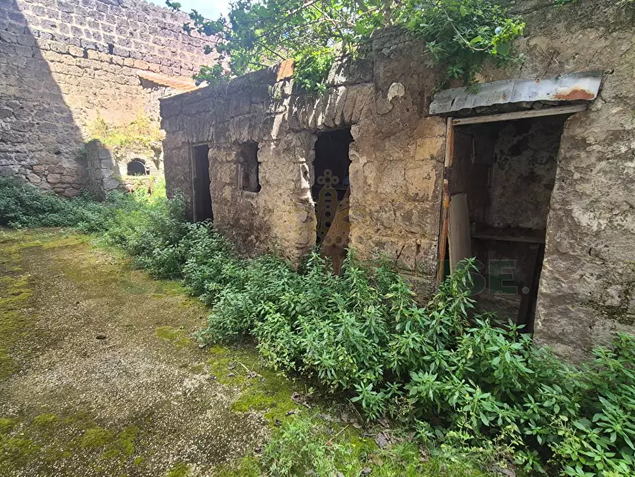 Immagine 9 di Casa indipendente in vendita  a Camigliano