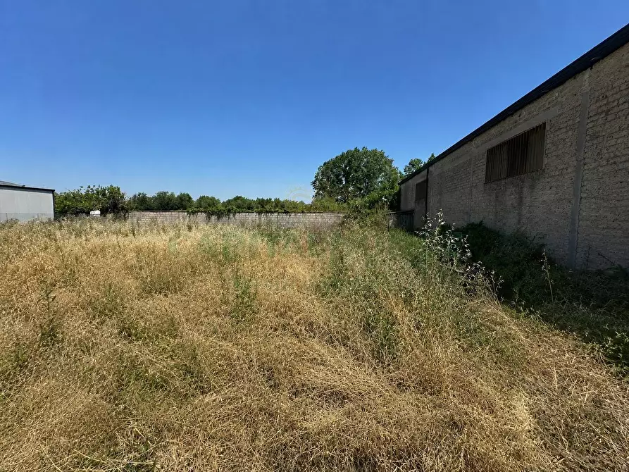 Immagine 4 di Terreno residenziale in vendita  in CASERMA ORESTE SALOMONE a Capua