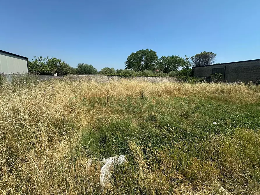 Immagine 5 di Terreno residenziale in vendita  in CASERMA ORESTE SALOMONE a Capua
