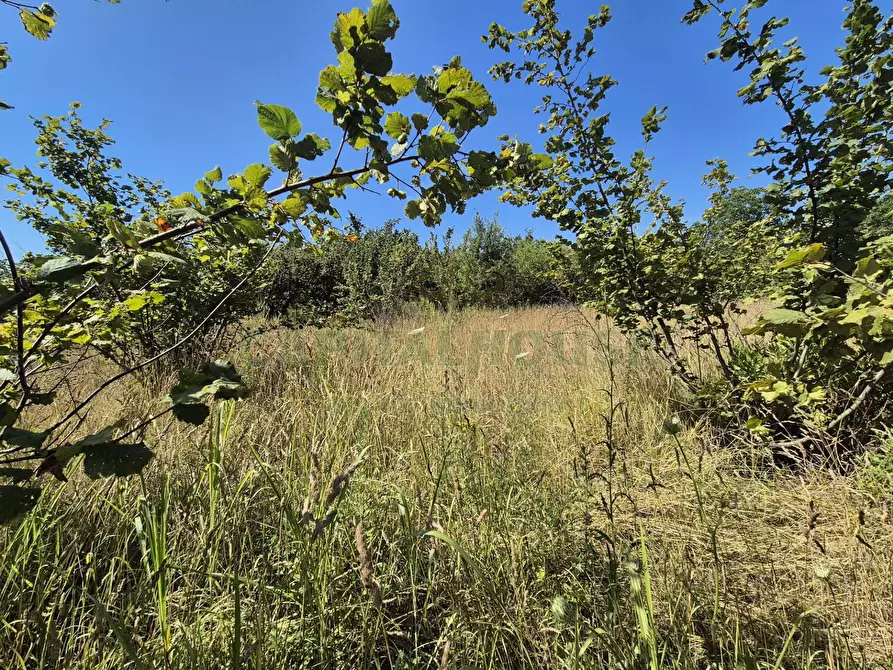 Immagine 1 di Terreno agricolo in vendita  in via palma a Cercola