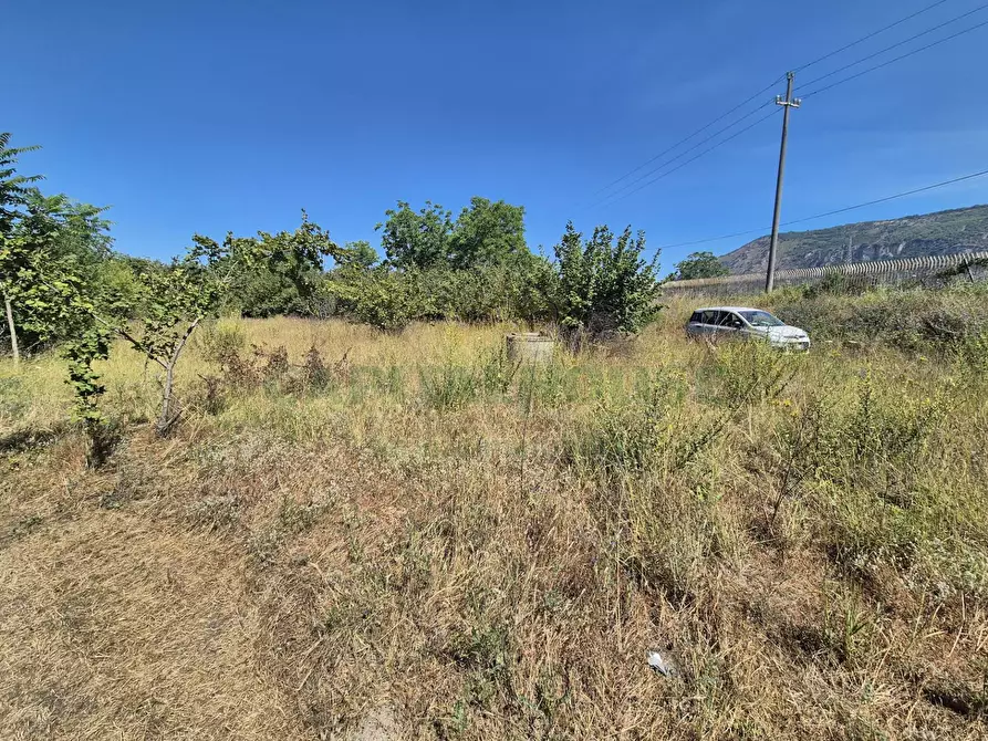 Immagine 5 di Terreno agricolo in vendita  in via palma a Cercola
