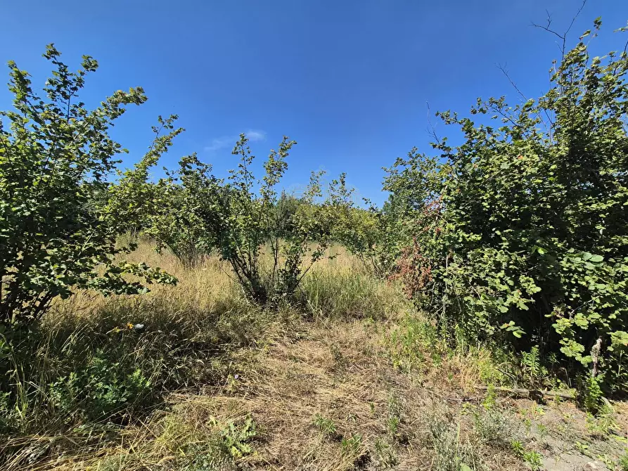 Immagine 11 di Terreno agricolo in vendita  in via palma a Cercola