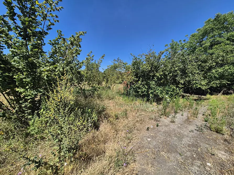 Immagine 12 di Terreno agricolo in vendita  in via palma a Cercola