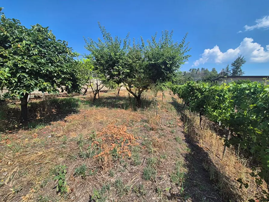 Immagine 4 di Terreno agricolo in vendita  in via masseria barra a Ottaviano