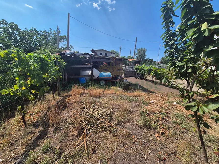 Immagine 3 di Terreno agricolo in vendita  in via masseria barra a Ottaviano