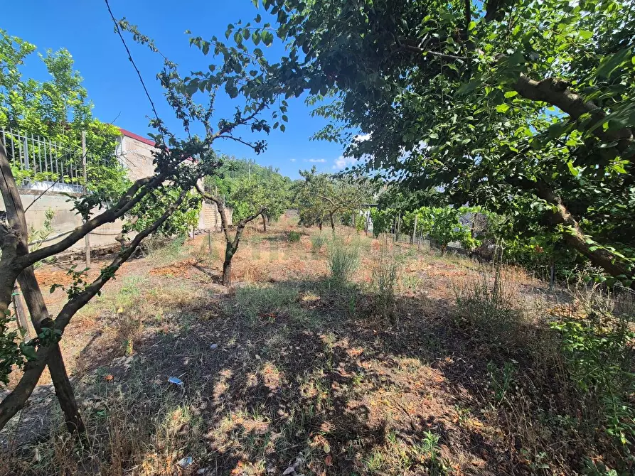 Immagine 5 di Terreno agricolo in vendita  in via masseria barra a Ottaviano