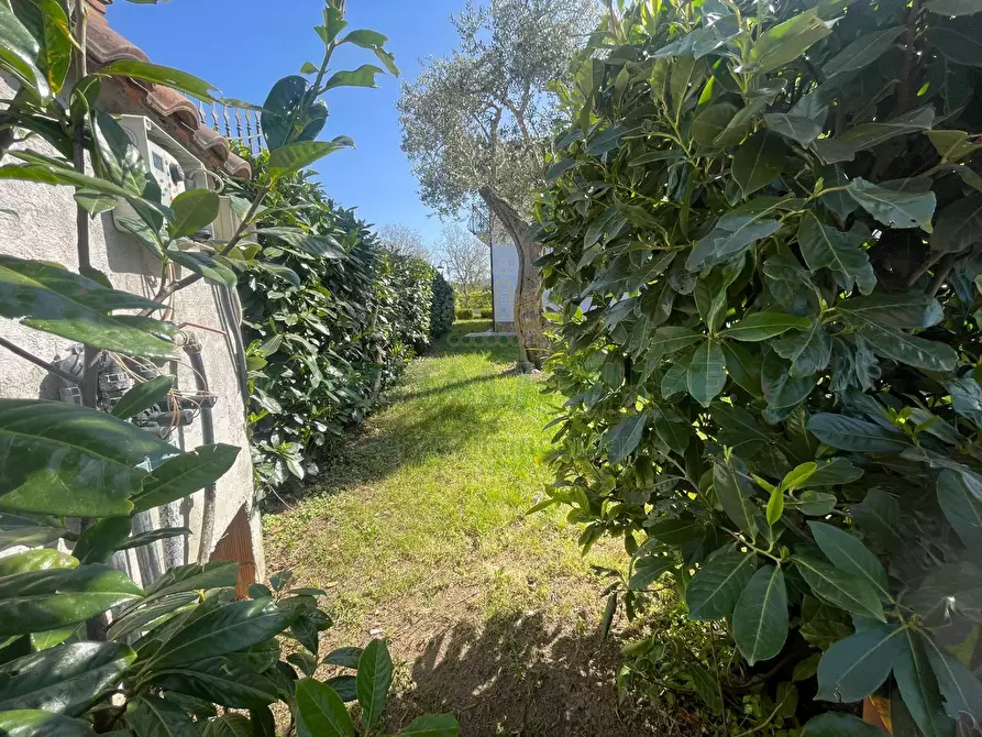 Immagine 63 di Villa in affitto  in avella a Avella