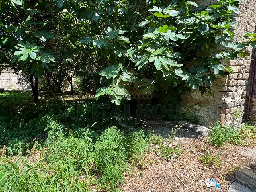 Immagine 2 di Magazzino in vendita  in viale de lucia a Mugnano Del Cardinale