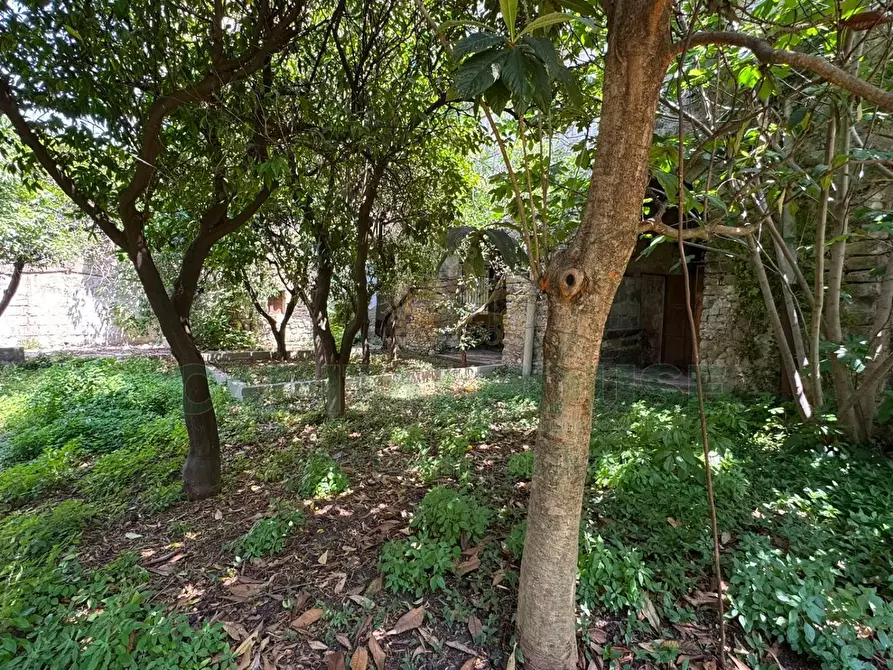 Immagine 3 di Magazzino in vendita  in viale de lucia a Mugnano Del Cardinale