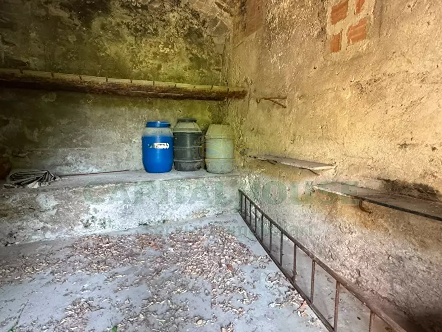 Immagine 6 di Magazzino in vendita  in viale de lucia a Mugnano Del Cardinale