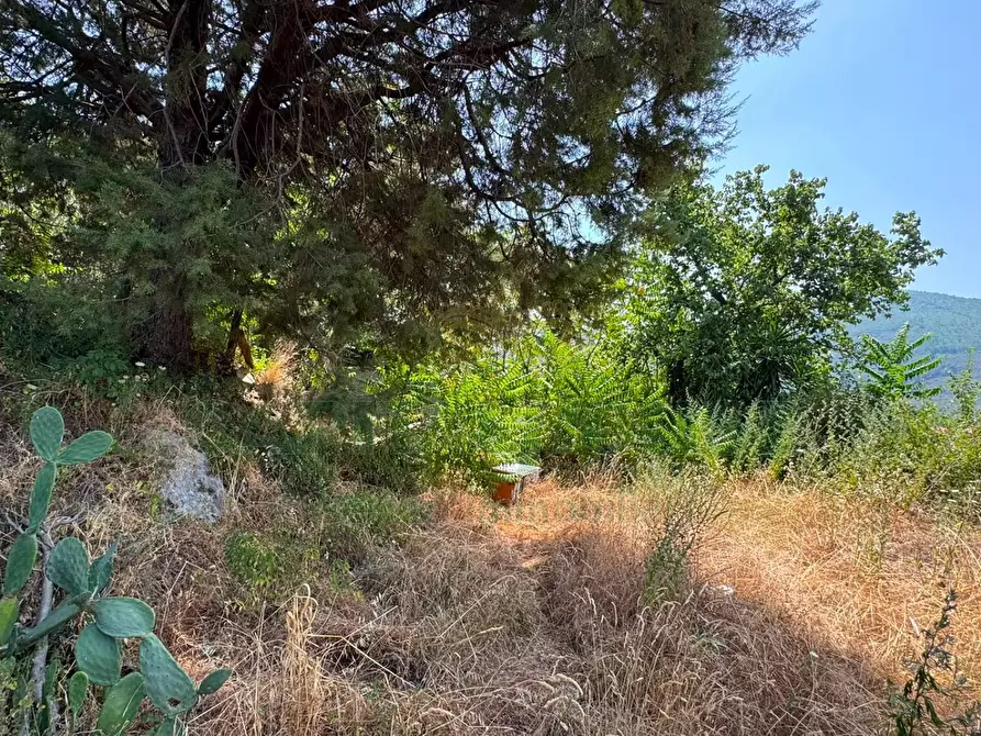 Immagine 4 di Terreno agricolo in vendita  in mugnano del cardinale a Mugnano Del Cardinale