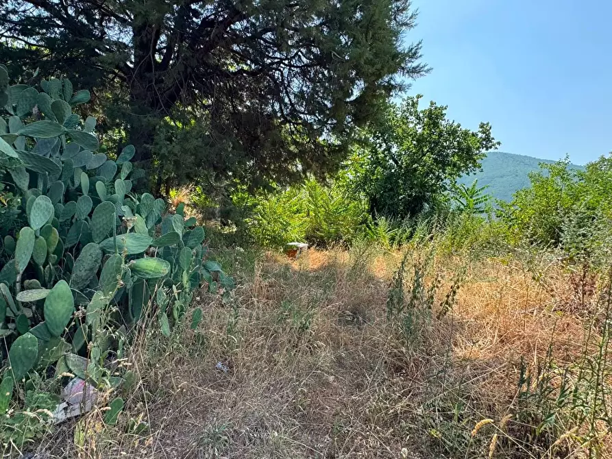 Immagine 7 di Terreno agricolo in vendita  in mugnano del cardinale a Mugnano Del Cardinale