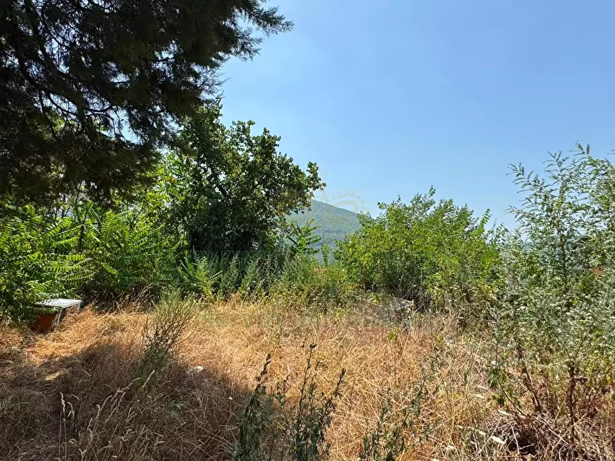 Immagine 10 di Terreno agricolo in vendita  in mugnano del cardinale a Mugnano Del Cardinale