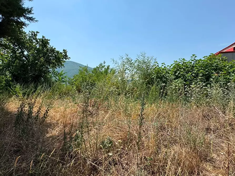 Immagine 11 di Terreno agricolo in vendita  in mugnano del cardinale a Mugnano Del Cardinale