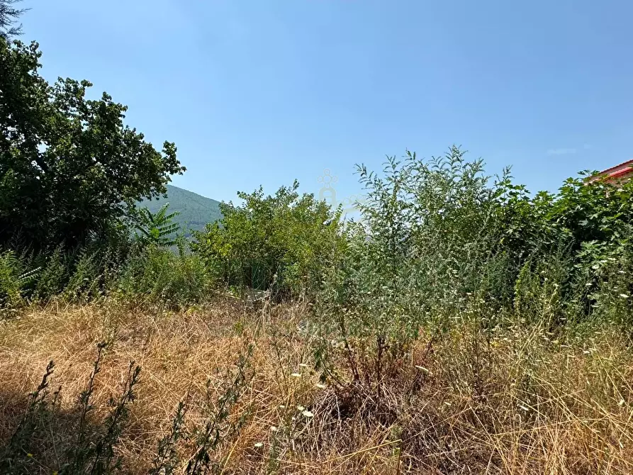 Immagine 12 di Terreno agricolo in vendita  in mugnano del cardinale a Mugnano Del Cardinale