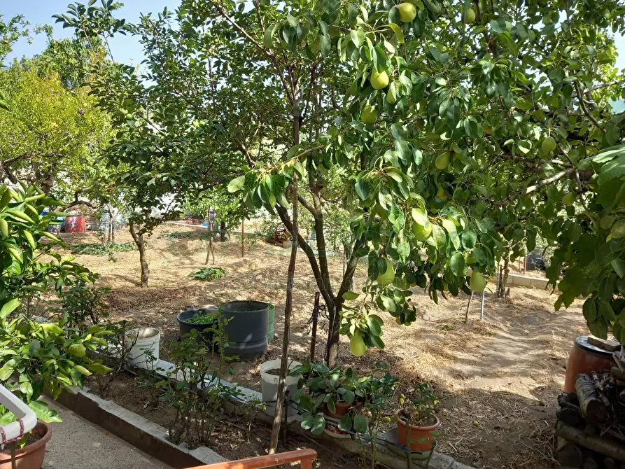 Immagine 7 di Casa indipendente in vendita  in mugnano del cardinale a Mugnano Del Cardinale