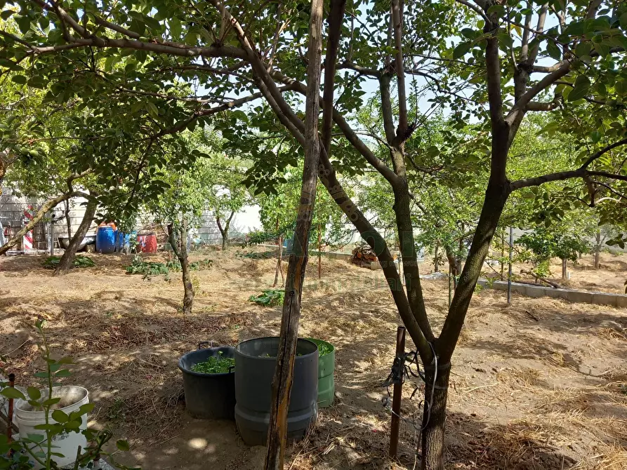 Immagine 6 di Casa indipendente in vendita  in mugnano del cardinale a Mugnano Del Cardinale