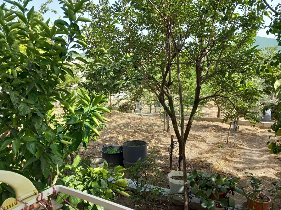 Immagine 22 di Casa indipendente in vendita  in mugnano del cardinale a Mugnano Del Cardinale
