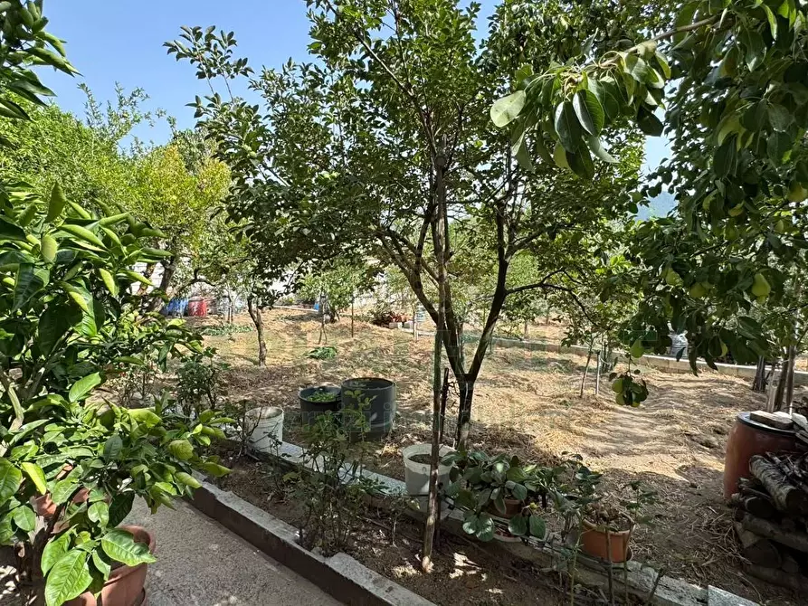 Immagine 8 di Casa indipendente in vendita  in mugnano del cardinale a Mugnano Del Cardinale