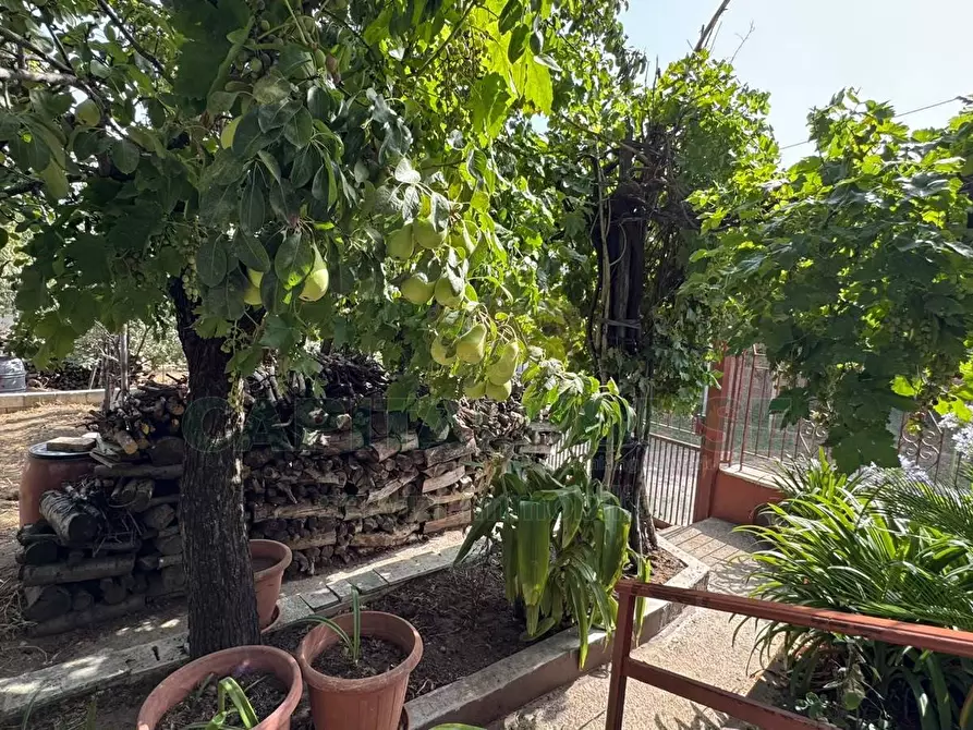 Immagine 23 di Casa indipendente in vendita  in mugnano del cardinale a Mugnano Del Cardinale