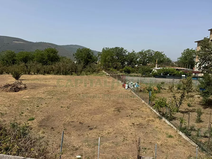 Immagine 3 di Terreno agricolo in vendita  in mugnano del cardinale a Mugnano Del Cardinale
