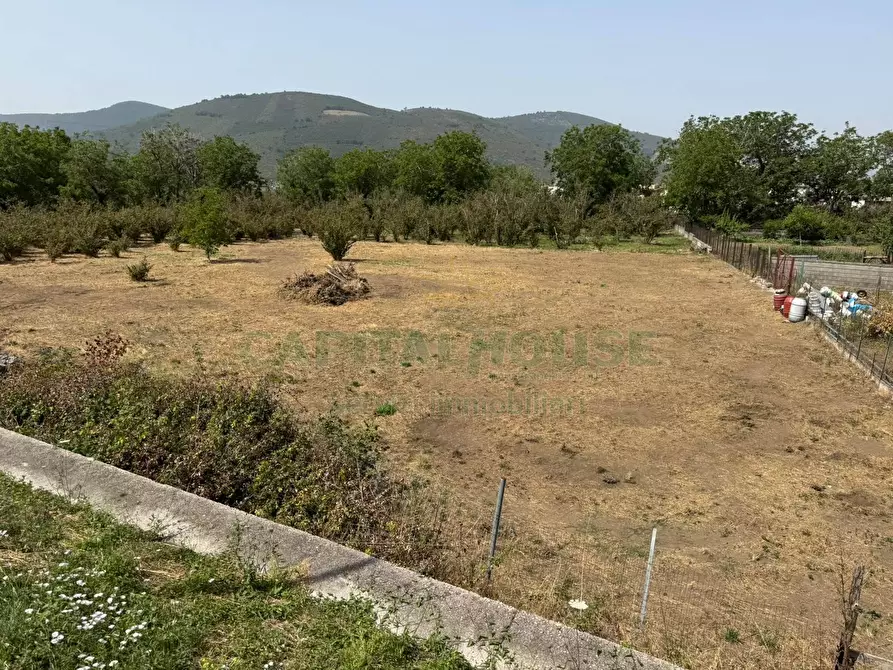 Immagine 5 di Terreno agricolo in vendita  in mugnano del cardinale a Mugnano Del Cardinale