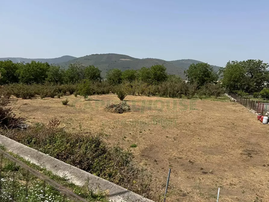 Immagine 6 di Terreno agricolo in vendita  in mugnano del cardinale a Mugnano Del Cardinale