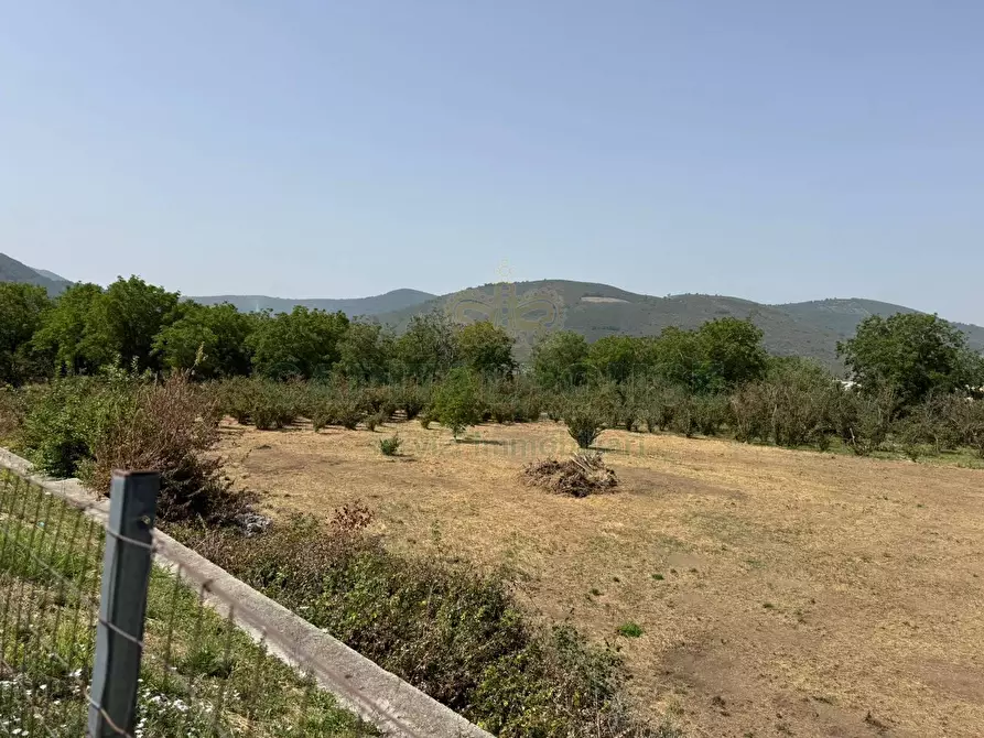Immagine 7 di Terreno agricolo in vendita  in mugnano del cardinale a Mugnano Del Cardinale