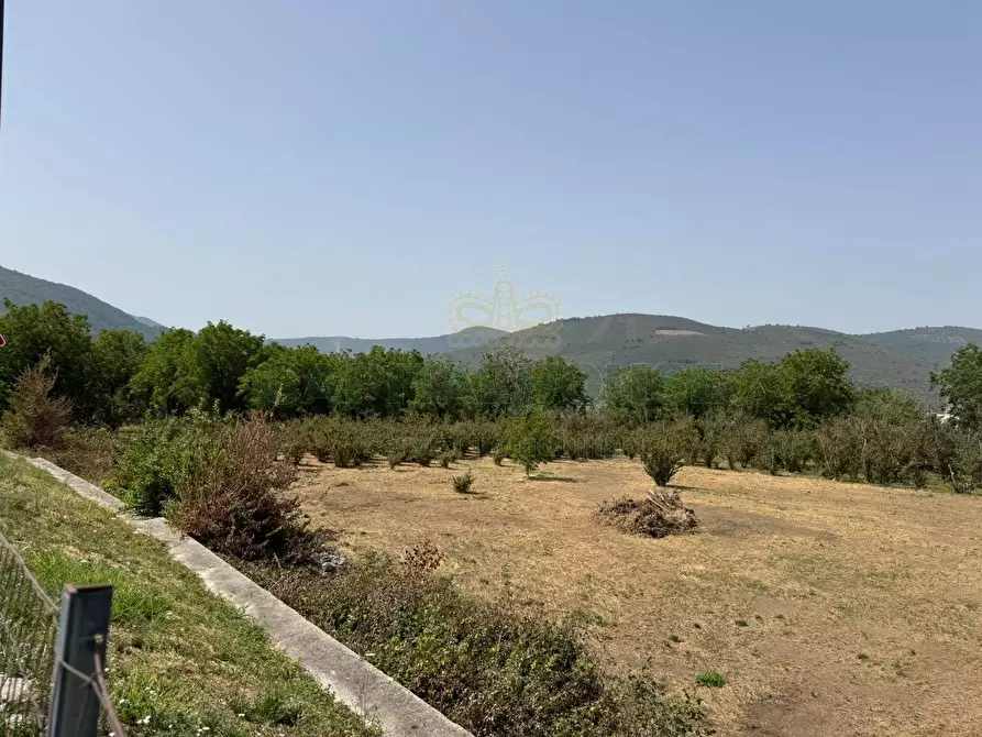 Immagine 10 di Terreno agricolo in vendita  in mugnano del cardinale a Mugnano Del Cardinale