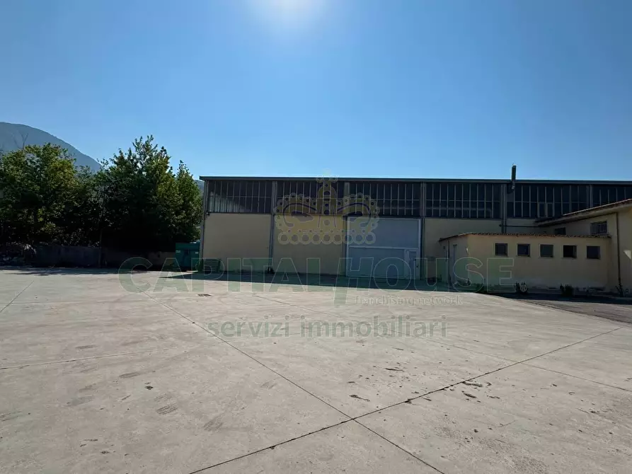 Immagine 6 di Capannone industriale in affitto  in quadrelle a Quadrelle
