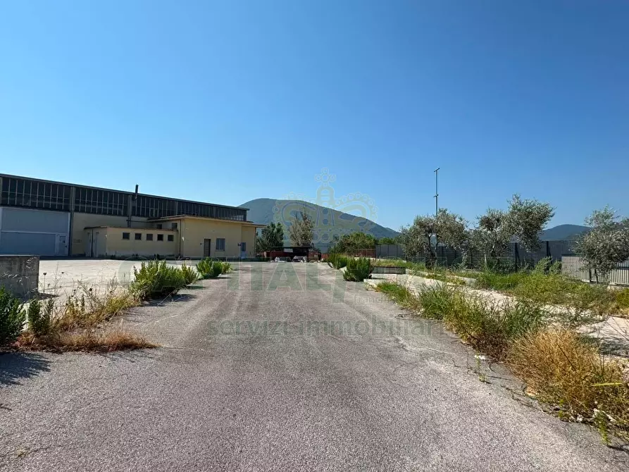 Immagine 8 di Capannone industriale in affitto  in quadrelle a Quadrelle