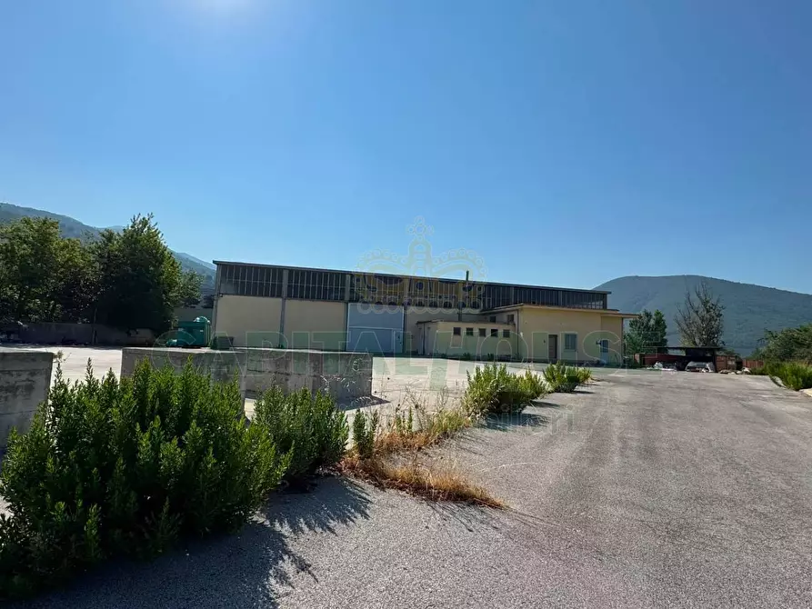 Immagine 9 di Capannone industriale in affitto  in quadrelle a Quadrelle