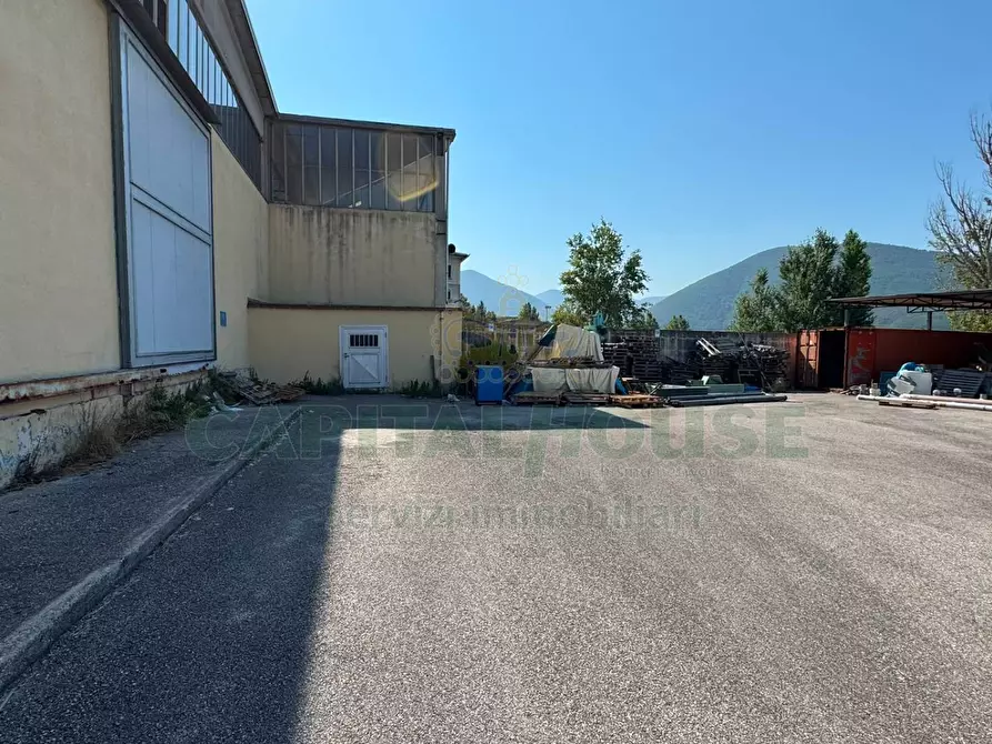 Immagine 10 di Capannone industriale in affitto  in quadrelle a Quadrelle