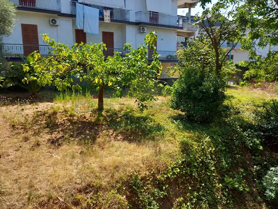 Immagine 8 di Palazzo in vendita  in sirignano a Sirignano