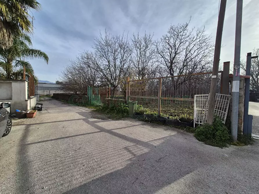 Immagine 5 di Terreno agricolo in vendita  in via giugliani a Cercola