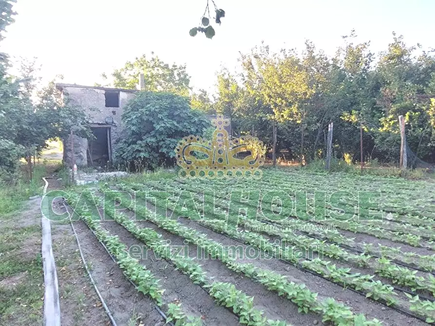 Immagine 3 di Rustico / casale in vendita  in via rivolta a Cercola