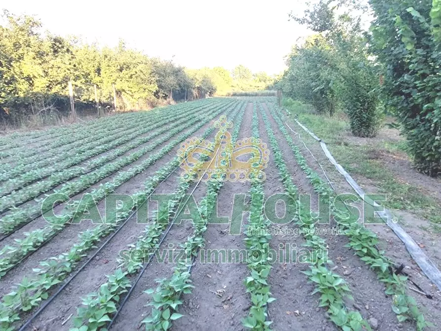 Immagine 8 di Rustico / casale in vendita  in via rivolta a Cercola