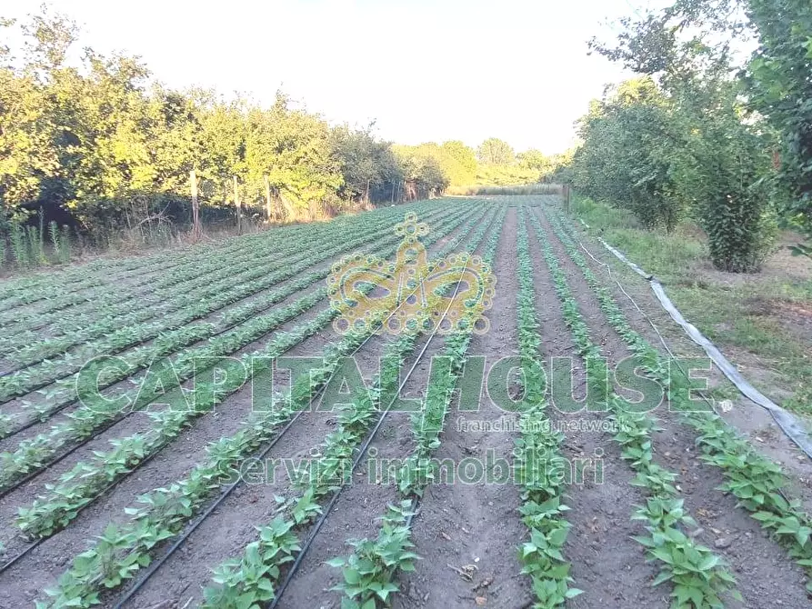Immagine 9 di Rustico / casale in vendita  in via rivolta a Cercola