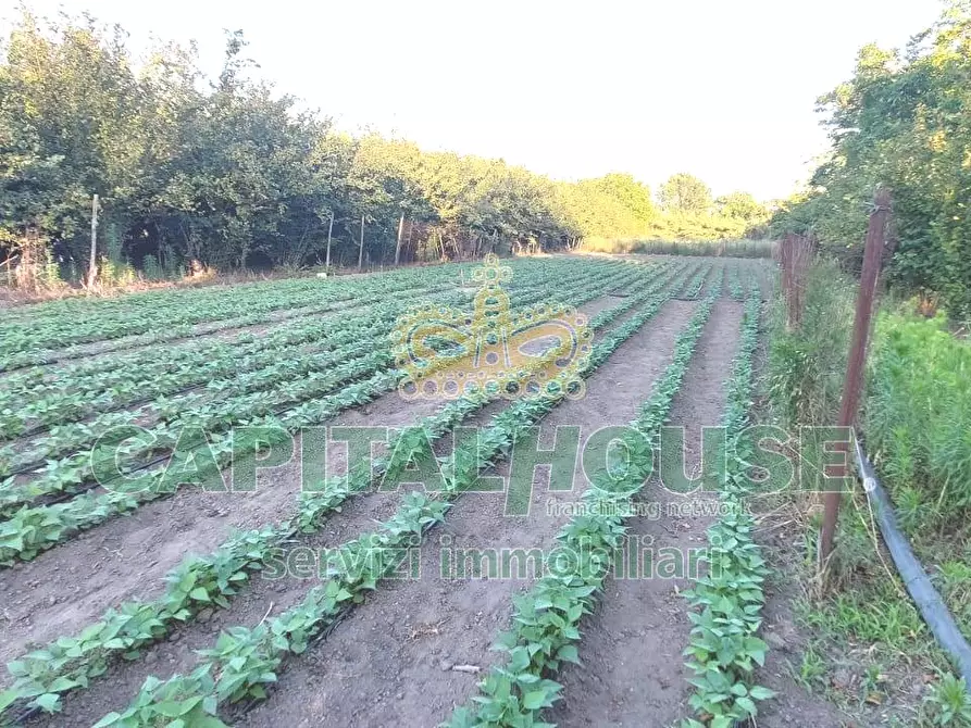 Immagine 5 di Rustico / casale in vendita  in via rivolta a Cercola