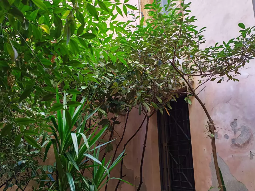 Immagine 2 di Appartamento in vendita  in VIA CORRIDONI a Mantova