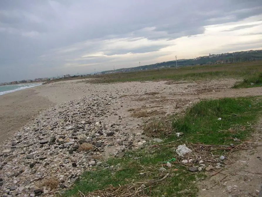 Immagine 6 di Terreno residenziale in vendita  in delle Gardenie a Campomarino