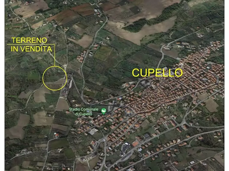 Immagine 8 di Terreno agricolo in vendita  a Cupello