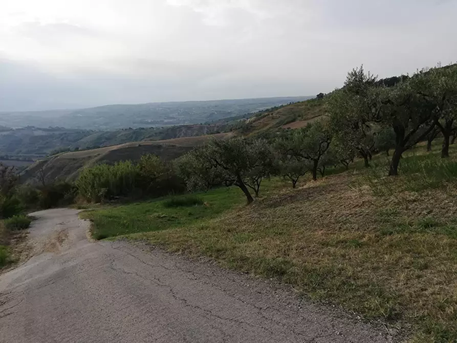 Immagine 7 di Terreno agricolo in vendita  a Cupello