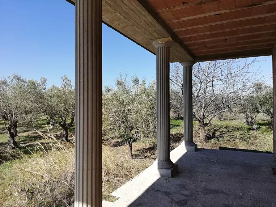 Immagine 5 di Villa in vendita  a Cupello