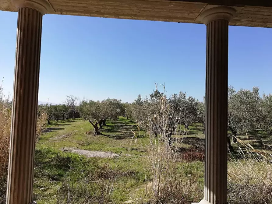 Immagine 6 di Villa in vendita  a Cupello