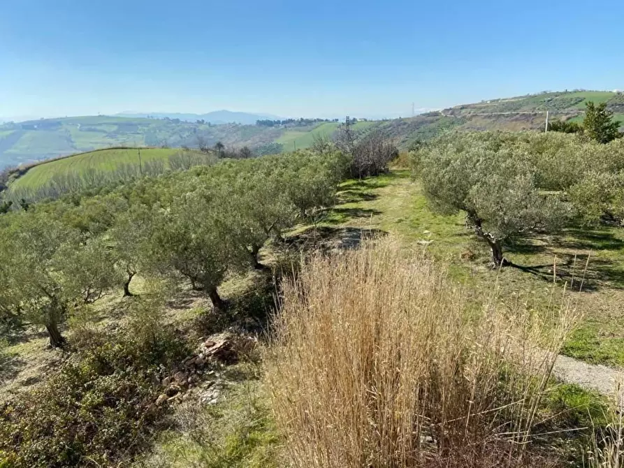 Immagine 15 di Villa in vendita  a Cupello