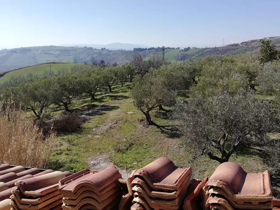 Immagine 16 di Villa in vendita  a Cupello