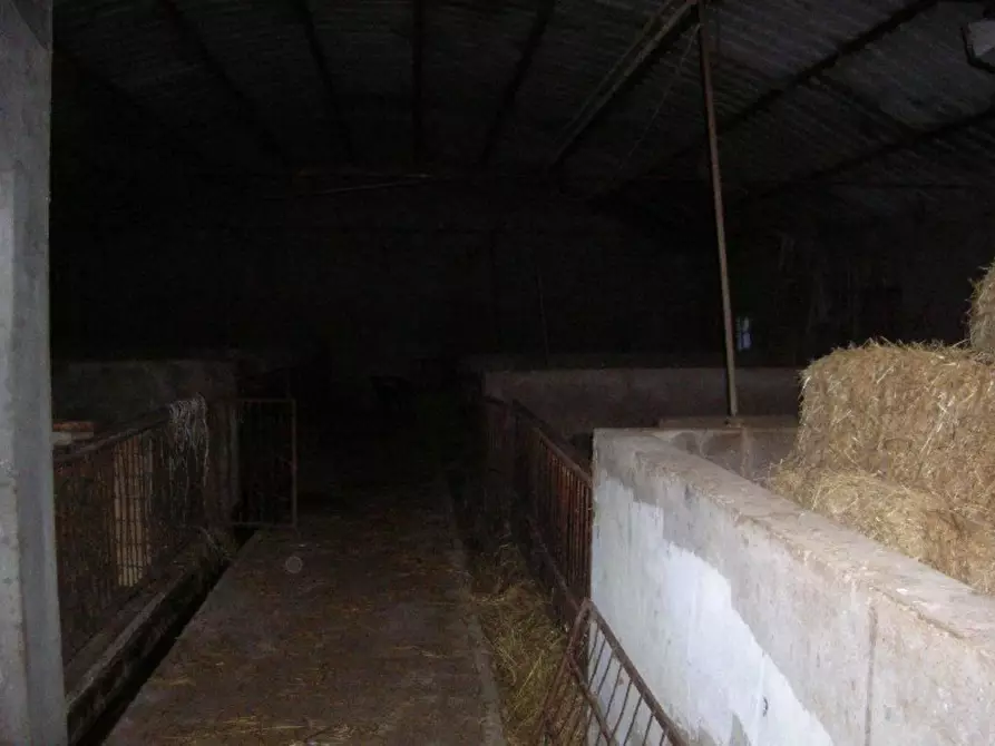 Immagine 3 di Locale commerciale in vendita  in Provinciale 150 a Arielli